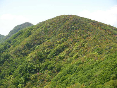 万三郎岳と馬ノ背の写真