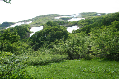 焼石岳山頂から横岳方面の写真