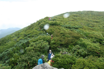 登山道が水浸しになり、キャーキャーいいながら御来光岩まで下ってきている写真