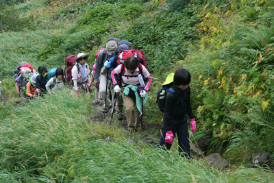 登山道をがんばって登っている写真