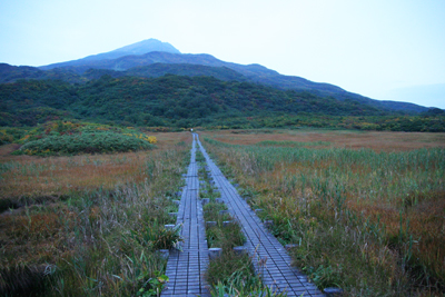 竜ヶ原湿原と鳥海山の写真