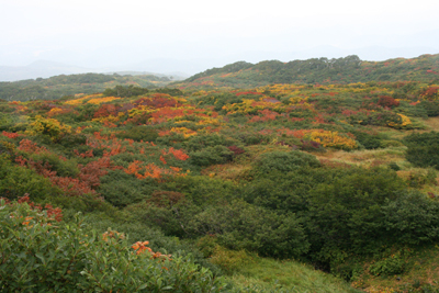 七ツ釜避難小屋から東側の紅葉の写真