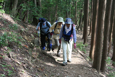 権次入峠に向けて登っている写真