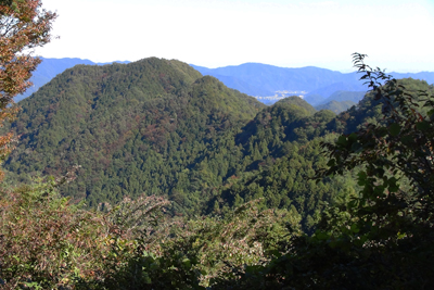 大丸山から見た高柄山の写真