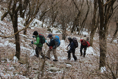 雪まじりの登山道を登っている写真