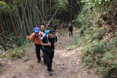 登山口から登山道を登り始めた写真