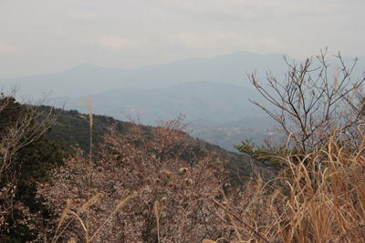 発端丈山から見た天城山方面の写真