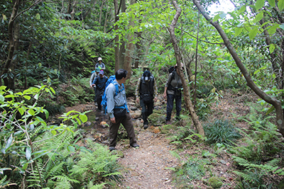 唐滝に向かって登山道を登っている写真