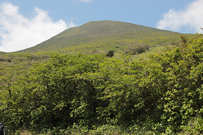 八丈富士登山口付近から見た八丈富士の写真