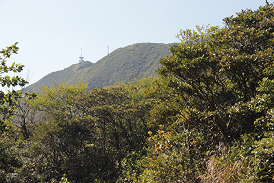 下山中に三原山を振り返った写真