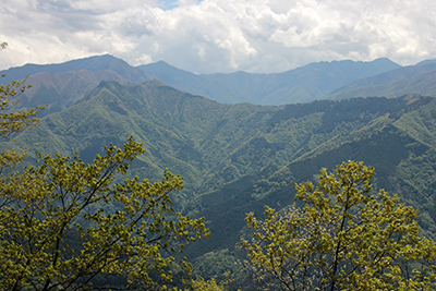 雲取山と飛龍山の写真