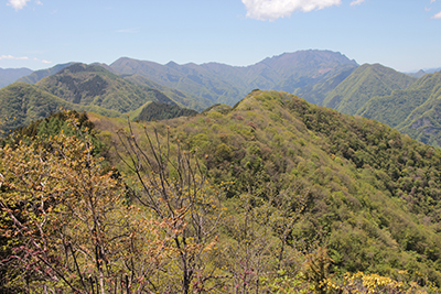 両神山と秩父御岳山から続く尾根の写真