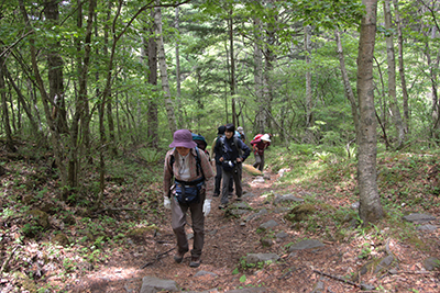 三城牧場から山道を歩き始めた写真