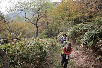 傾斜が次第に増してきた登山道を上っている写真