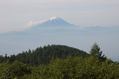 全景と富士山の写真