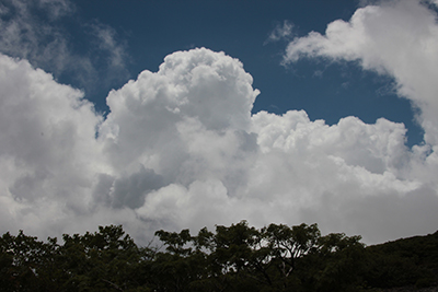 わき上がる夏雲の写真