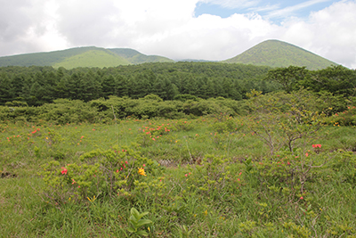 沼原湿原と白笹山の写真