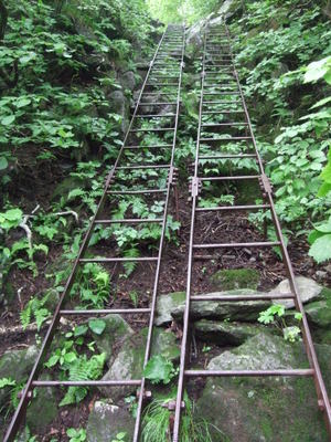 相馬山山頂に向かうはしごの写真