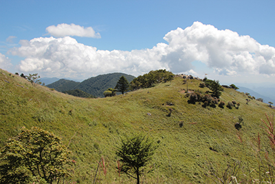 白谷丸の横の尾根の写真