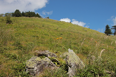 牛奥の雁ヶ腹摺山の山腹の写真