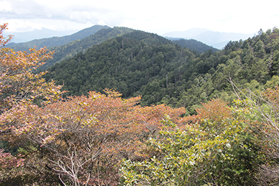 小金沢山山頂から南部を見た写真