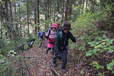 急な登山道を登っている写真