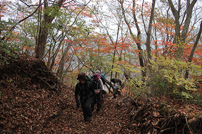 次々に現れる紅葉した木々の中を登っている写真