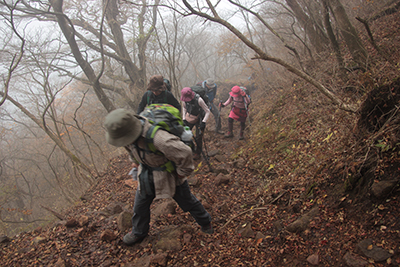 神山の山頂直下を登っている写真