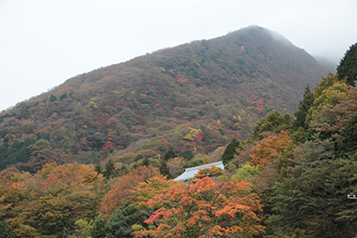 早雲山駅から見上げた早雲山方面の山腹の写真