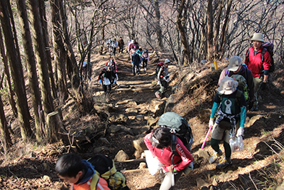 冬枯れの気持ちよい登山道を登っている写真