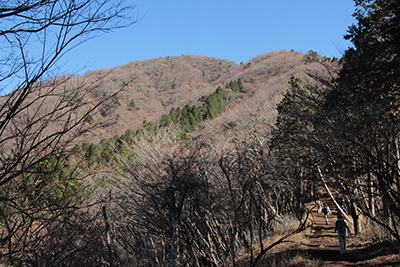 これから登る大山の写真