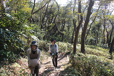 日だまりの登山道を登っている写真