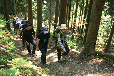 和田から広い登山道を登っている写真