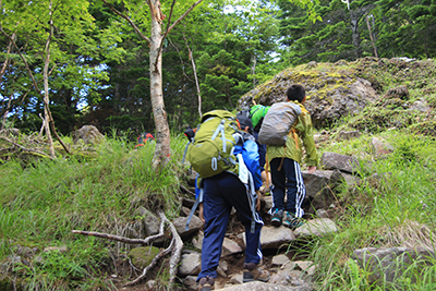 赤岳鉱泉前の登山道を登っている写真