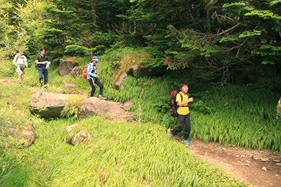 堰堤広場に向かって登山道を下っている写真