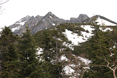 西穂山荘の手前から見た独標とピラミッドピークの写真