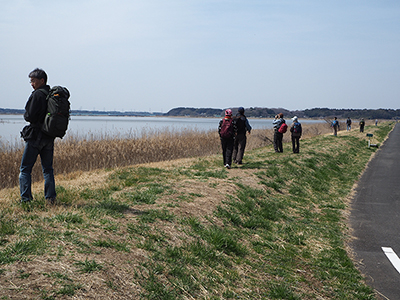 Iさんが撮影した印旛沼の畔の土手を歩いている写真