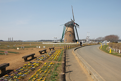 佐倉ふるさと村の風車の写真