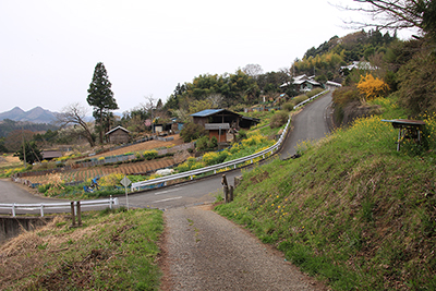 菜の花が咲く山里の写真