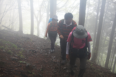 深い霧の中の登山道を登っている写真