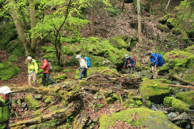 穴路峠からオシノ沢沿いの山道を下っている写真