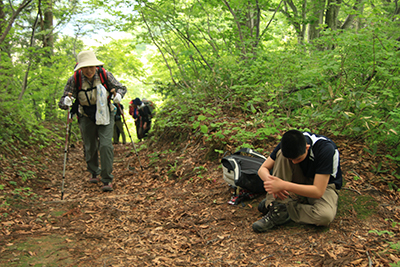 刈羽黒姫山に向けて登り休憩した場所の写真