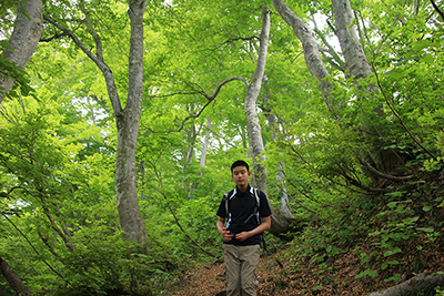 緑豊かな登山道を下山中のＭ君の写真