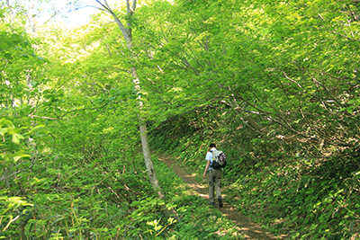 2日目の朝、水野林道登山口から米山を目指して歩きはじめた写真