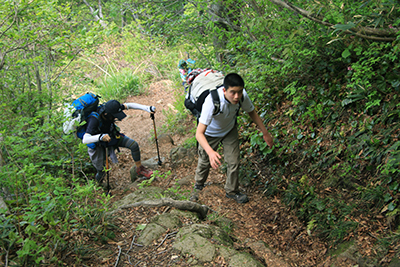 米山の山頂直下を登っている写真