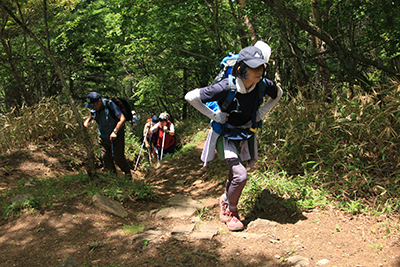 次第に急になる登山道を登っている写真