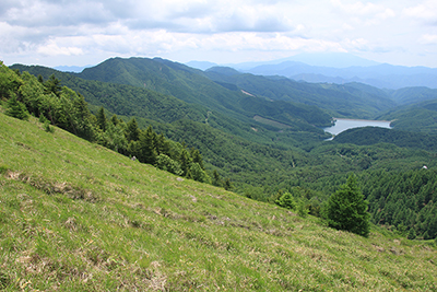 山頂直下の草原と小金沢山、上日川ダム湖、そして富士山の写真