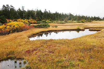 黒谷地湿原の池塘の写真