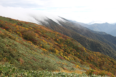 柄沢山方面の尾根にかかる滝雲と紅葉の写真