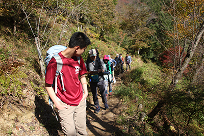 日当たりの良い登山道を登っている写真